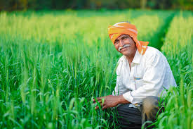 Field